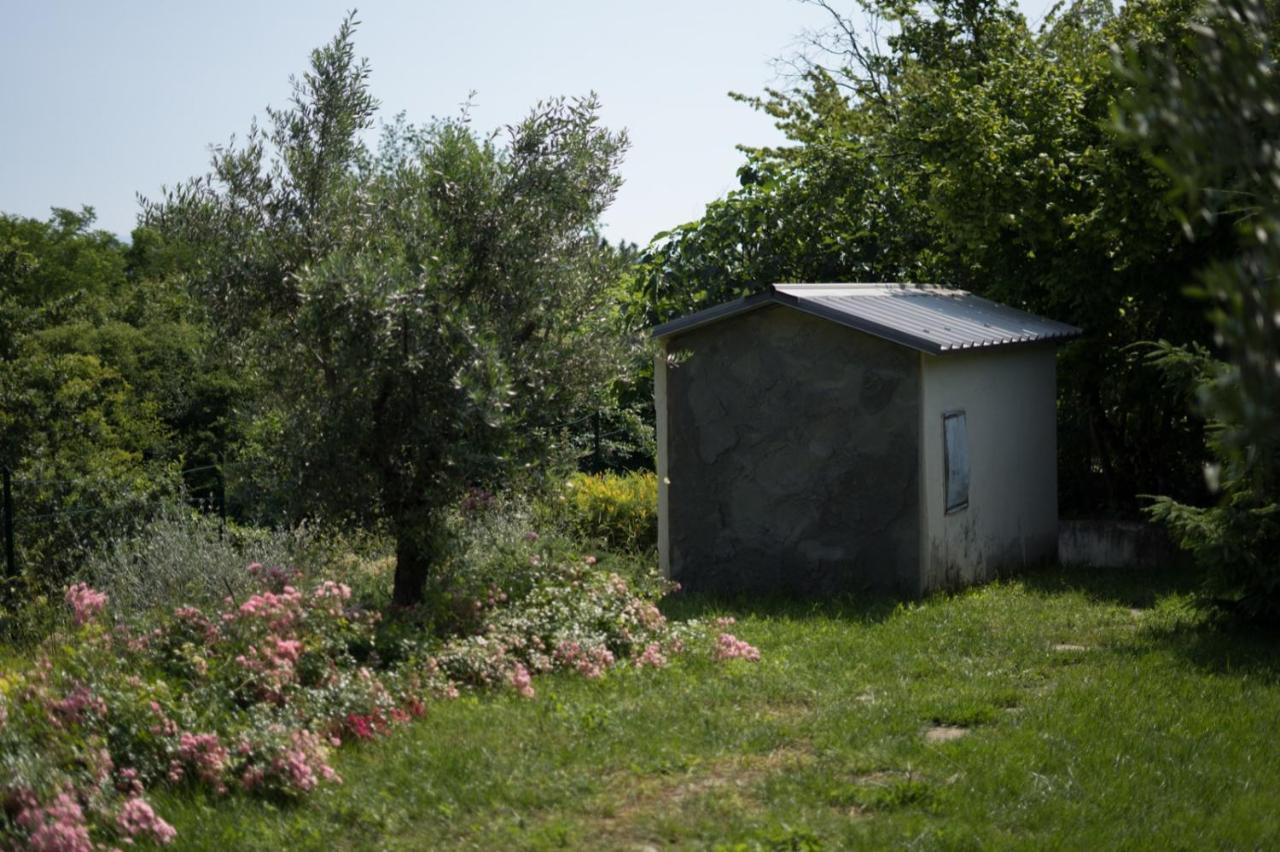 Villa Silvana - Apt Giulia & Michela With Terrace & Parking 佩鲁贾 外观 照片