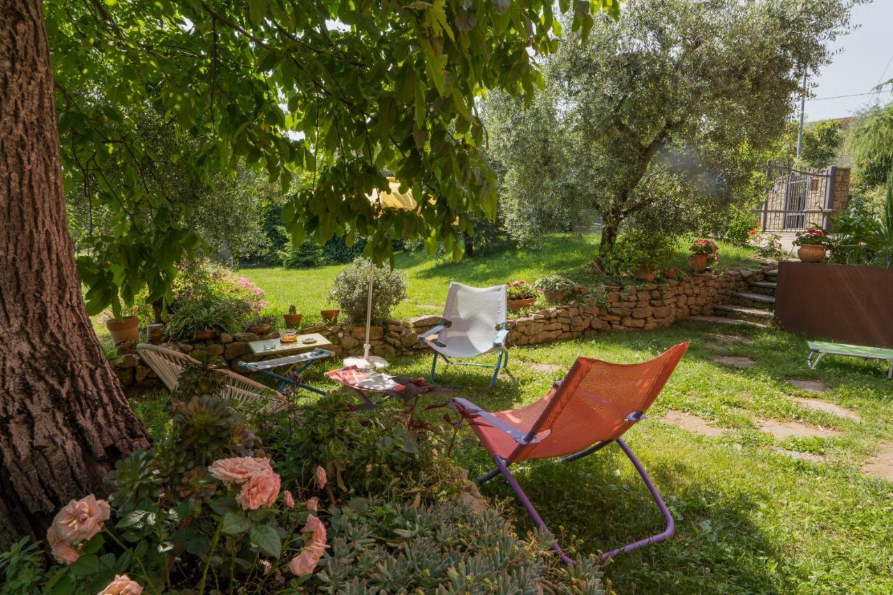 Villa Silvana - Apt Giulia & Michela With Terrace & Parking 佩鲁贾 外观 照片